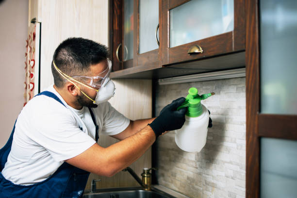 Best Emergency Pest Control  in Lowell, NC