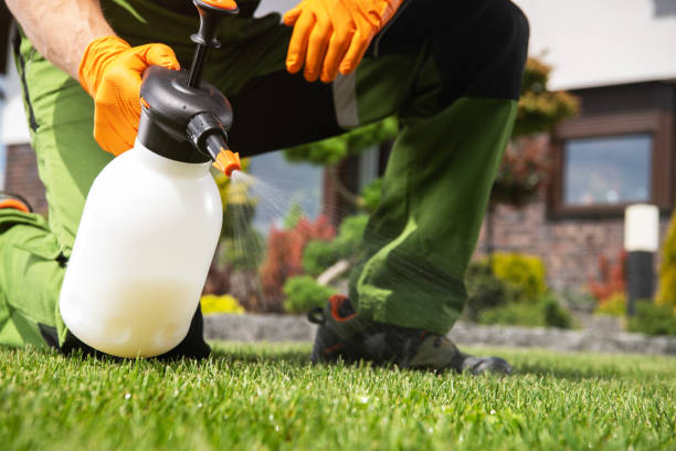 Best Pest Removal Services  in Lowell, NC