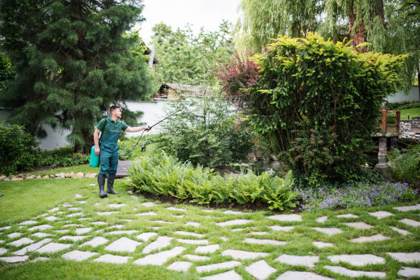 Best Residential Pest Control  in Lowell, NC