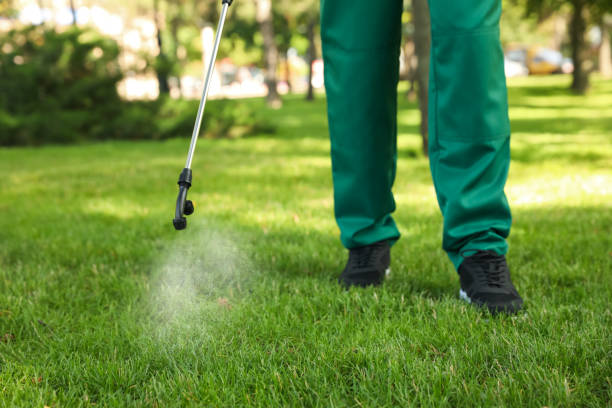 Best Insect Control  in Lowell, NC