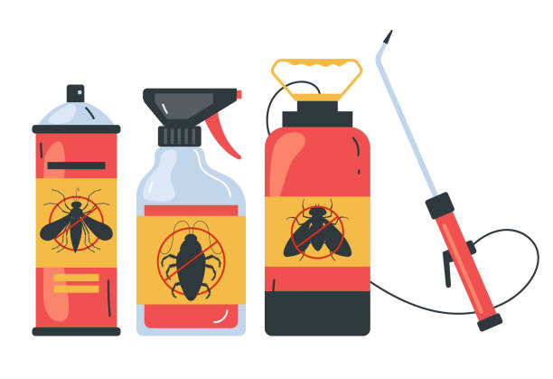 Best Spider Control Near Me  in Lowell, NC