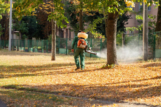 Best Best Pest Control Companies  in Lowell, NC