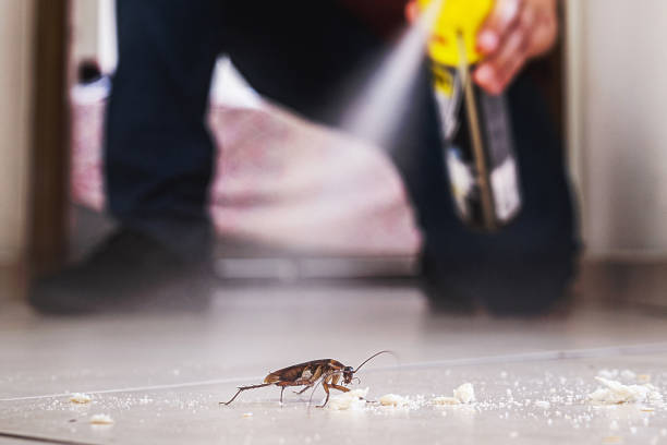 Best Exterminator Services  in Lowell, NC