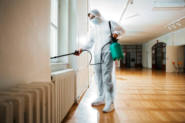 Best Flea Control Services  in Lowell, NC