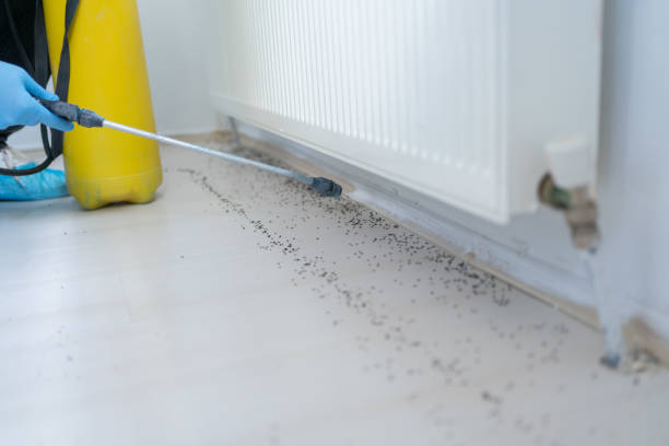 Best Pest Inspection Near Me  in Lowell, NC