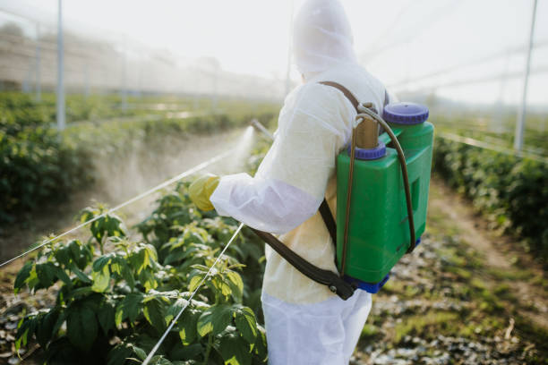 Best Best Pest Control Companies  in Lowell, NC